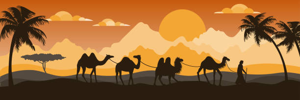 illustrazioni stock, clip art, cartoni animati e icone di tendenza di siluette di cammello nel deserto. carovana beduina, piramidi e sole. viaggio arabo in safari nel sahara, gruppo arabo in egitto. paesaggio dunare a banner orizzontale. illustrazione corrente del fumetto vettoriale - horizon over land tree sunset hill