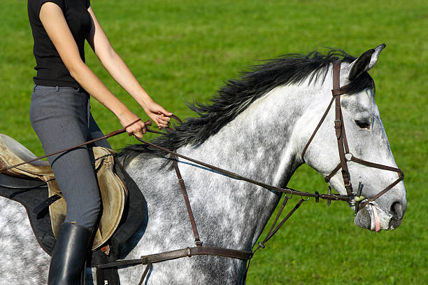 istock Girl riding a horse 147241815