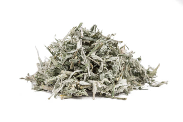 Estafiate dried herb, Artemisia ludoviciana stock photo