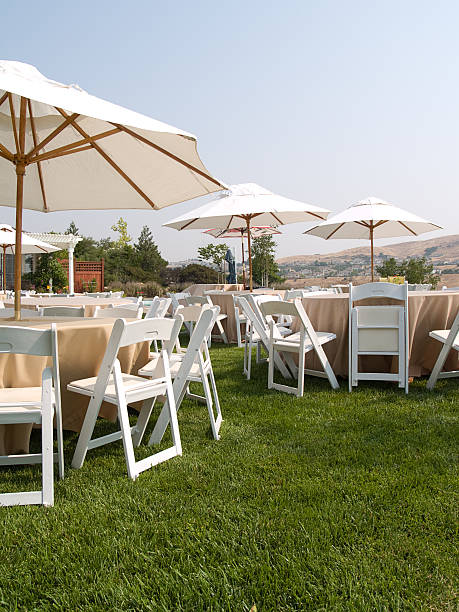 istock Outdoor Party 147241897