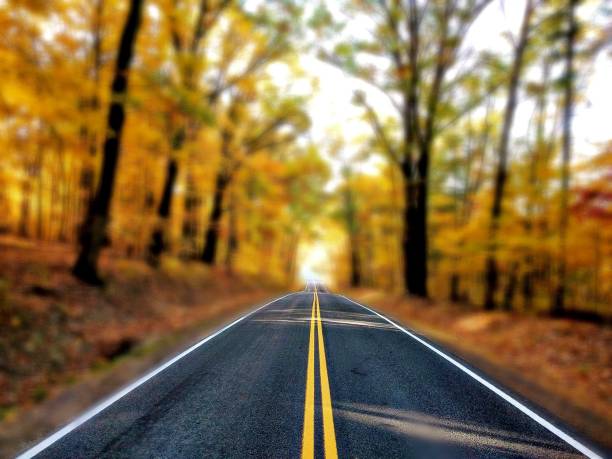 istock road in the middle of the forest 1472421908
