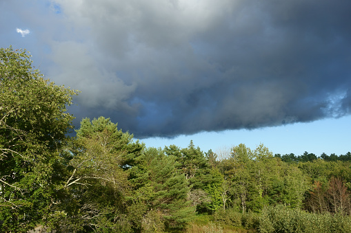 Dark thunderstorm  cloud over sunny forest