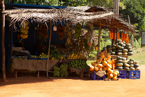 Rural street side shop with tropical vegetables and fruits including King coconuts , local varieties of bananas , pumpkins ,pineapples , Avacado , mandarines etc. shop is constructed using bio digradable materials. Loacally sourced and eco friendly.
