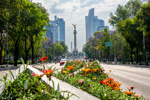 Paseo de la Reforma is the most important avenue in the financial sector, as there are the most imposing bank buildings in the city.