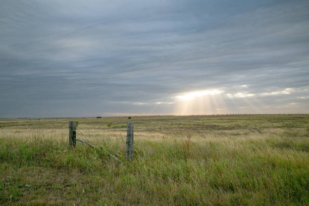 Imagem: Istockphoto Imagem: Istockphoto