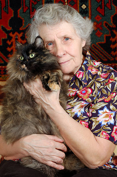istock grandmother sitting with cat on her hands 147242697