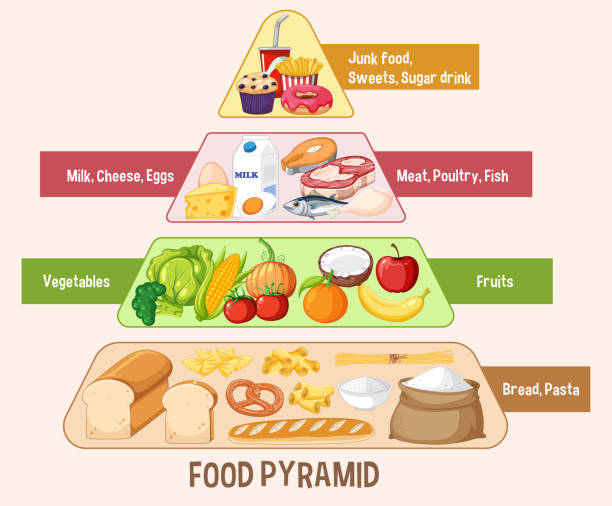 Pirâmide de grupos de nutrição alimentar - ilustração de arte em vetor