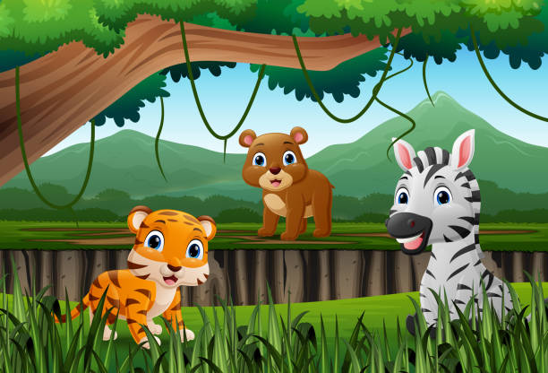 만화 정글에서 야생 동물 - 15824 stock illustrations