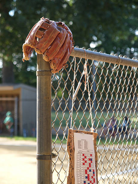 worn baseball glove on fence with roster stock photo