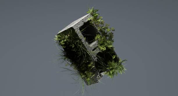 Concrete block rock with plants growing around it