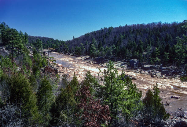 istock Millstream Gardens - St. Francis River Distant View - 1991 1472434473
