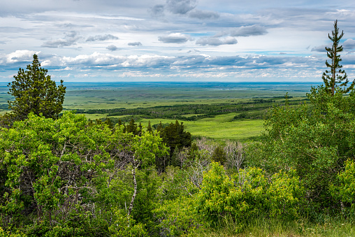 The view from Lookout Point in Cypress Hills Interprovincial Park, Saskatchewan