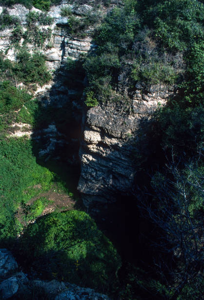 Grand Gulf State Park - View Into the Canyon - 1998