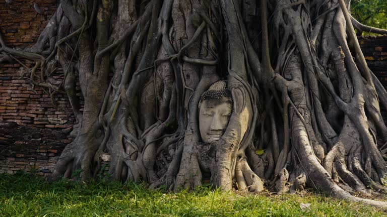 Front view of Buddha Face in the tree, Ayutthaya, Thailand