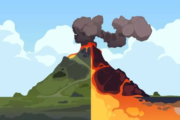 Vector illustration of Volcano cross section. Volcanic mountain eruption cross-section scheme, earth crust structure with magma chamber, gases and crater lava ash. Vector infographic