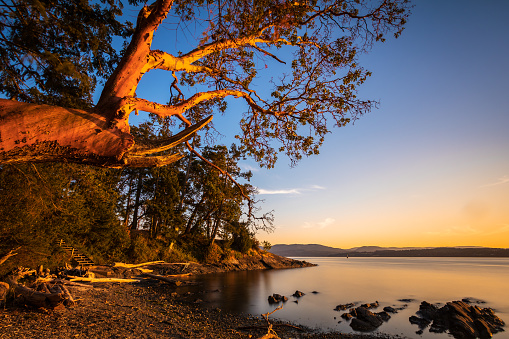 Sun setting at Moses Point, located on southern Vancouver Island.