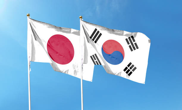 흐린 하늘에 일본 국기와 한국 국기. 하늘에서 흔들리는 - south korea south korean flag korea flag 뉴스 사진 이미지