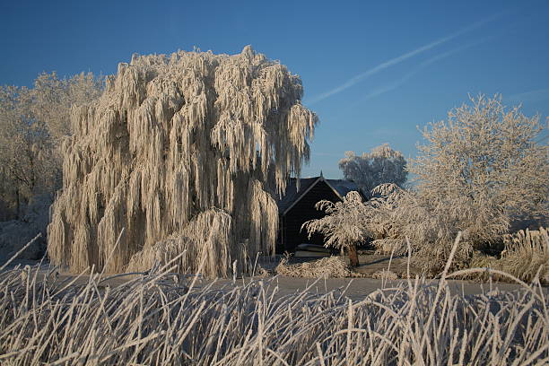 home in frozen land