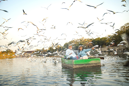 Senior couple tourist traveling on boat at lake with flock of birds in air