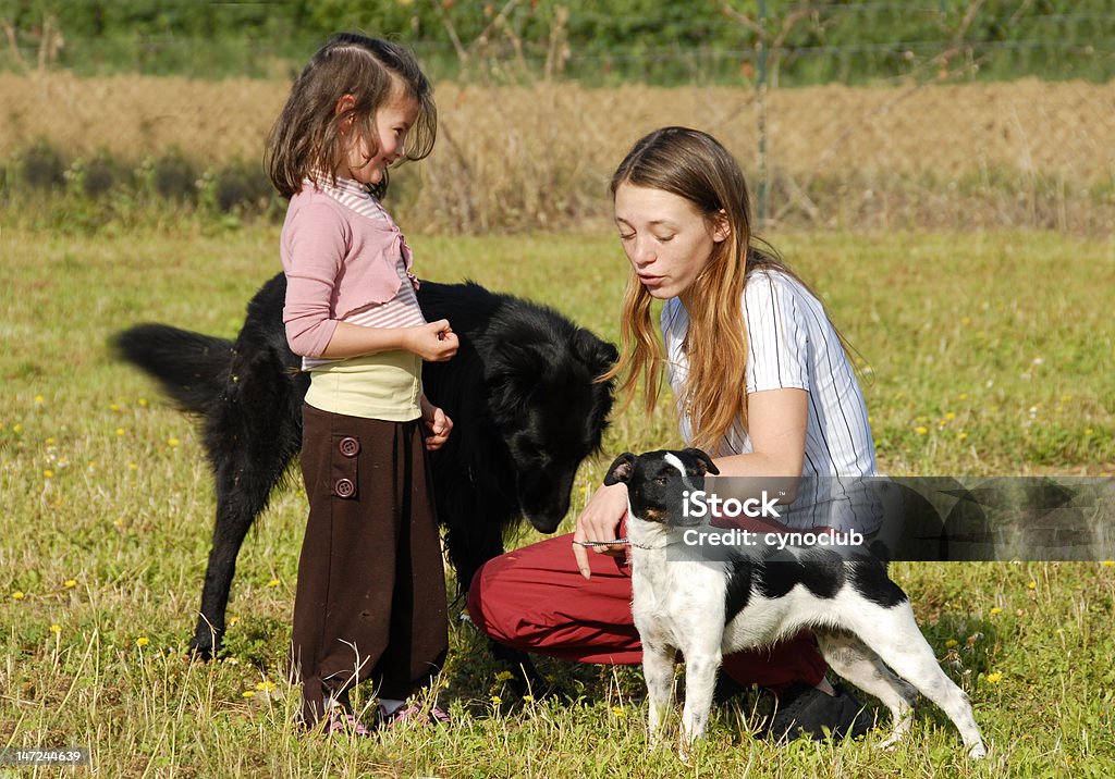 Schwestern und Hunde - Lizenzfrei Bildung Stock-Foto