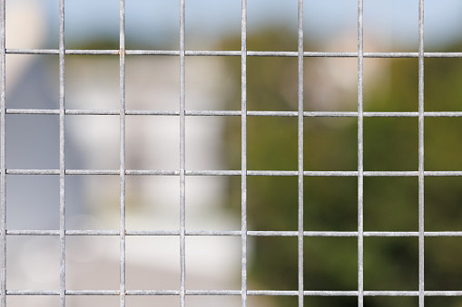 Looking through a metal wire fence.