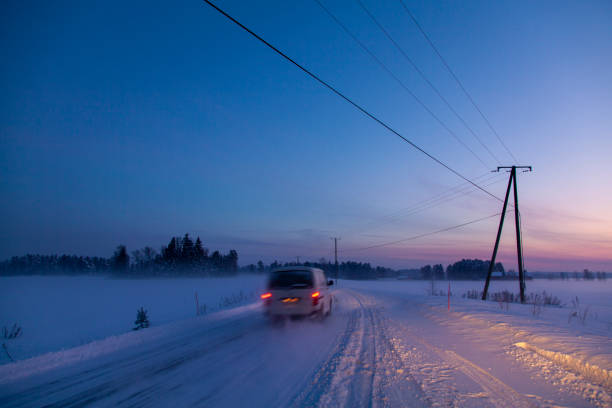 Snowy trees and fields, rural road in winter scenery