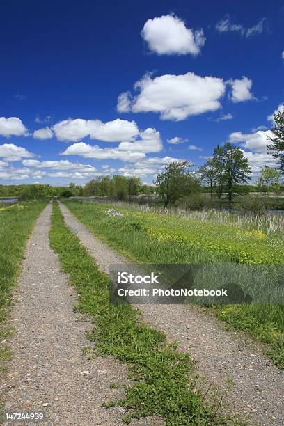 Rural Road Landscape Stock Photo - Download Image Now - Agricultural Field, Beauty In Nature, Blue