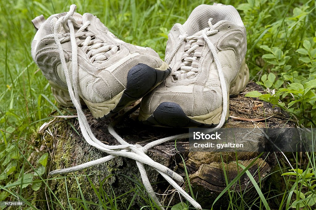 Scarpe - Photo de Arbre libre de droits