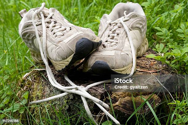 Photo libre de droit de Scarpe banque d'images et plus d'images libres de droit de Arbre - Arbre, Aubépine - Plante, Chalet de montagne