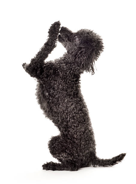 istock Shhhhhh...   I have a secret! 147245197