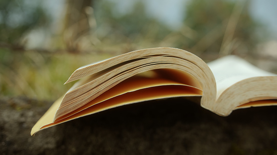 A Close-up Macro Shot of an Open Classic Book Outdoors