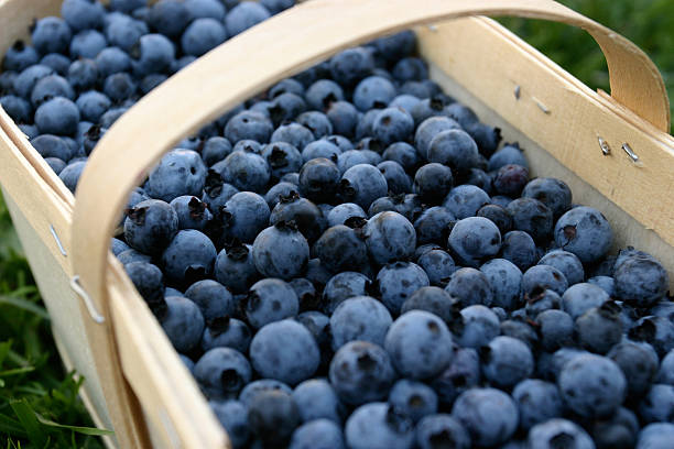 istock Blueberries in a wood basket 147245936