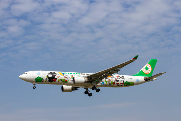 samolot airbus a330-302 eva air (reg b-16331) z malowaniem bad badtz-maru lądujący na międzynarodowym lotnisku tan son nhat, wietnam. - 16331 zdjęcia i obrazy z banku zdjęć