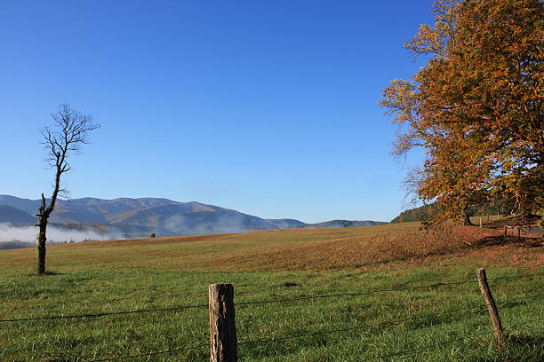 otoño de distinción - landscape landscaped tennessee mist fotografías e imágenes de stock