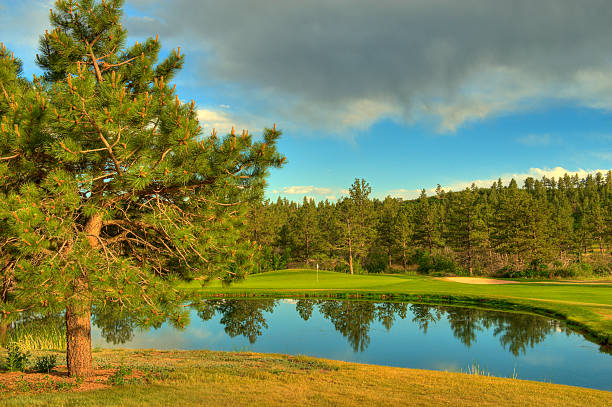 Campo de Golf - foto de stock