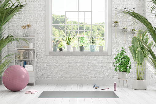 Environmentally Friendly Living Room Interior With Exercise Ball, Yoga Mat, Green Plants And Brick Wall