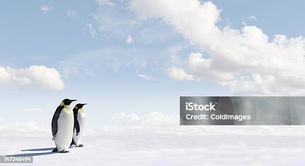 Panorama Of Two Penguins Under A White Fluffy Clouded Sky Stock Photo - Download Image Now