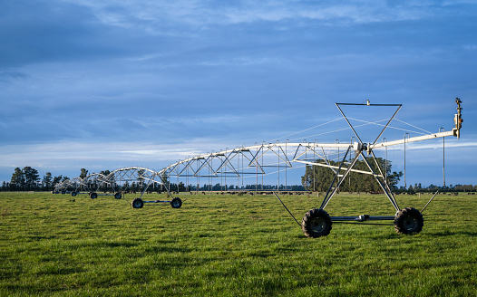 Sprinkler irrigation system on green farm paddock in Canterbury. South Island, New Zealand