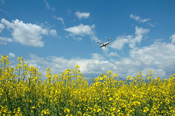 Airplane stock photo