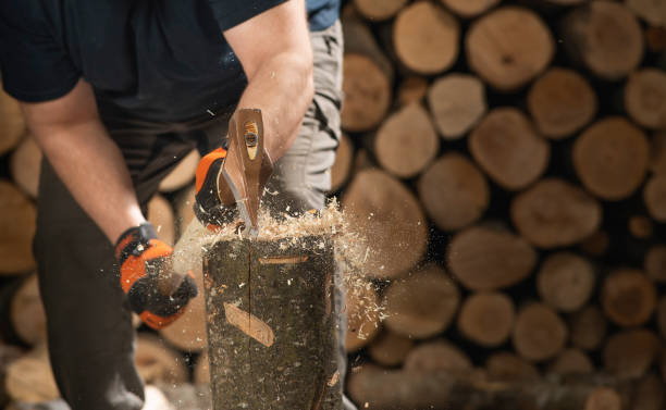 istock Hand and axe in firewood, 1472468104