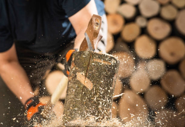 istock Hand and axe in firewood, 1472468107