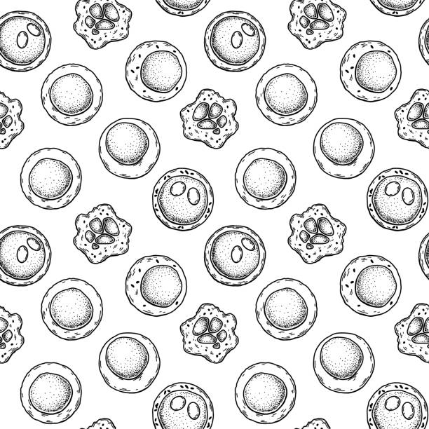 Stem cell seamless pattern. Hand drawn vector illustration in sketch style. Medical science. Microbiology background Stem cell seamless pattern. Hand drawn vector illustration in sketch style. Medical science. Microbiology background human cell animal cell healthcare and medicine abstract stock illustrations