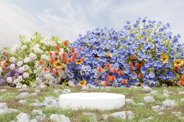 istock Abstact 3d render spring scene and Natural podium background, White stone podium on the grass field and group of rock, backdrop colorful flowers wall for product display advertising, cosmetic, etc 1472471645