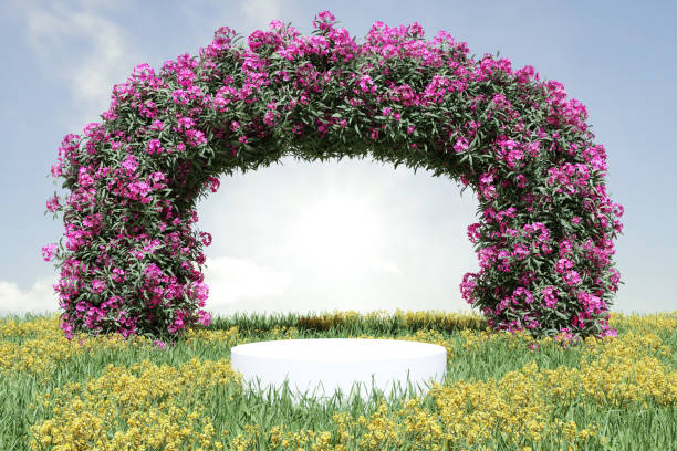 istock Abstact 3d render spring scene and Natural podium background, Stone podium on yellow flowers and grass field, backdrop leaf arch door, sky and clouds for product display advertising, cosmetic or etc 1472471649