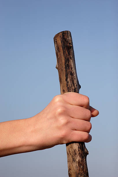 istock Hand holding wooden stick 147247305
