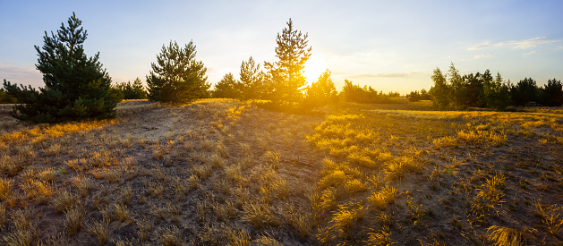 wide sandy prairie at the sunset, natural outdoor background