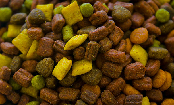 istock Perfect Food For The Cats 147247605