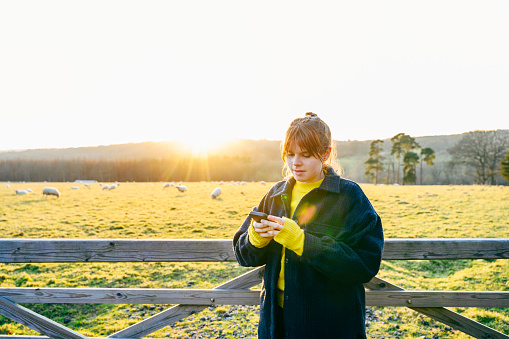 Front view of early 20s Caucasian woman in warm clothing standing next to pasture fence, using smart phone, grazing sheep and sunset in background.