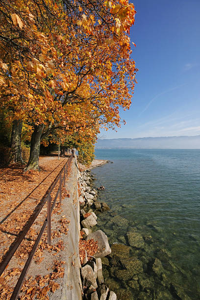 istock Autum by the lake 147247808