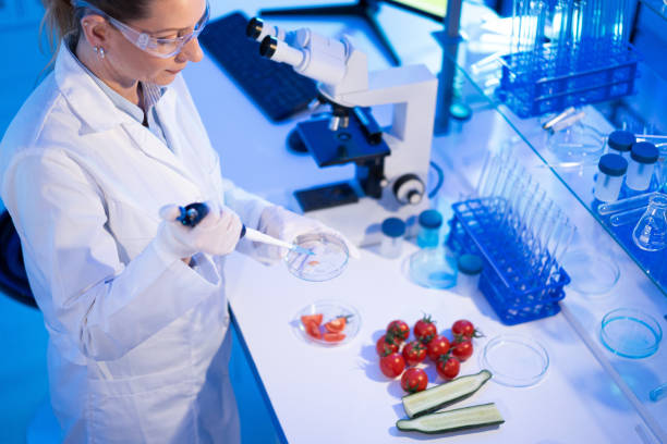 istock Female laboratory technician verify the quality of vegetables 1472478429